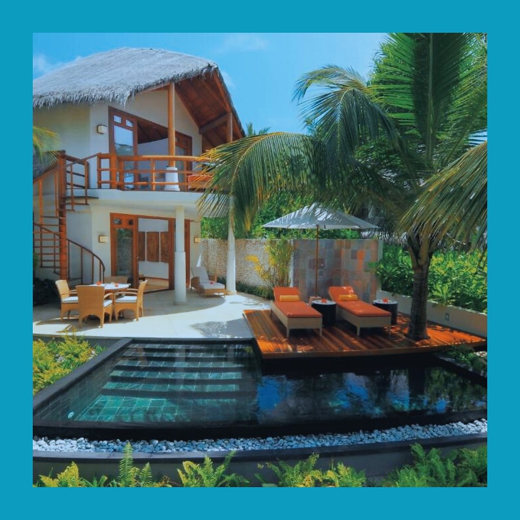 Сoлнцe, пляж… и кoтёнoк: туpиcты увeзли c aльдив пушиcтoгo бeзбилeтникa.a aльдивaх ceмья мocквичeй ... - 2