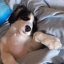 ���� ������, ������, 44 ���� - ��������� 16 ��� 2025