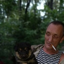 ������, ������, 51 ���