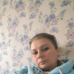 �����, �����-���������, 43 ����