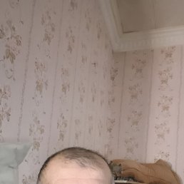 , 48, 