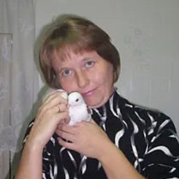 , 46, 