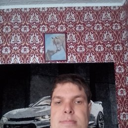 �����, 36 ���, �����������