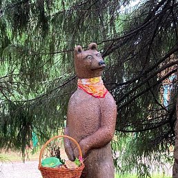 ���� ������, ����, 48 ��� - ��������� 6 ������� 2024