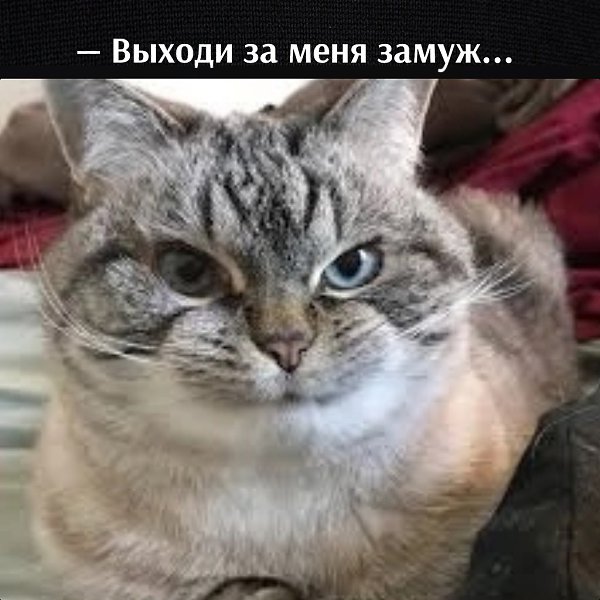 ��� ���� � ����� �� �� - 3 ��� 2025 � 16:38 - 2