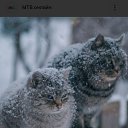 ���� )���������(, ��������� - ��������� 21 ������� 2023 � ������ ������ ��������