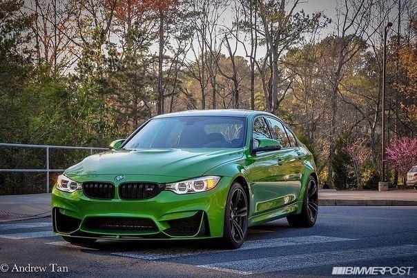 Individual Java Green M3 - 3