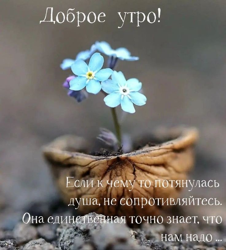   ,    . - 6  2025  23:05 - 8