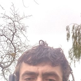 ���� �����, ���������, 33 ���� - ��������� 8 ������� 2026