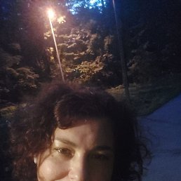 ����, �����-���������, 46 ���