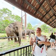 �������, 28 ���, ������