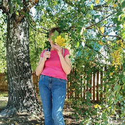 ���� �����, ������ - ��������� 31 ������ 2026