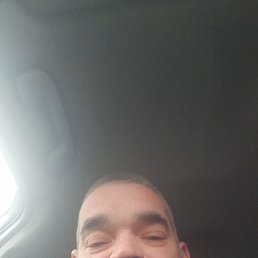 ������, 46 ���, ���������