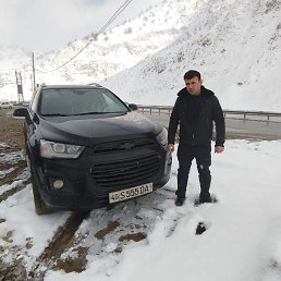 �������� �������, ������, 37 ���