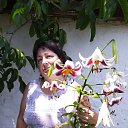 ���� ������, ������, 65 ��� - ��������� 24 ������� 2026 � ������ ���� ����������