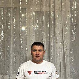 ����, 41 ���, ������