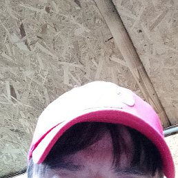 �����, ������, 39 ���