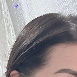 ����, ����������, 40 ���