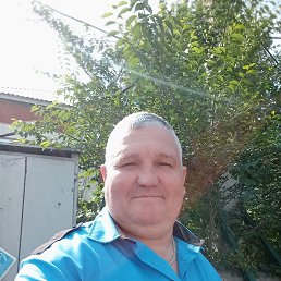 , 51,  