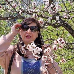 �����, 45 ���, �����������