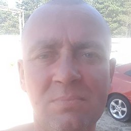 �����, ������, 46 ���