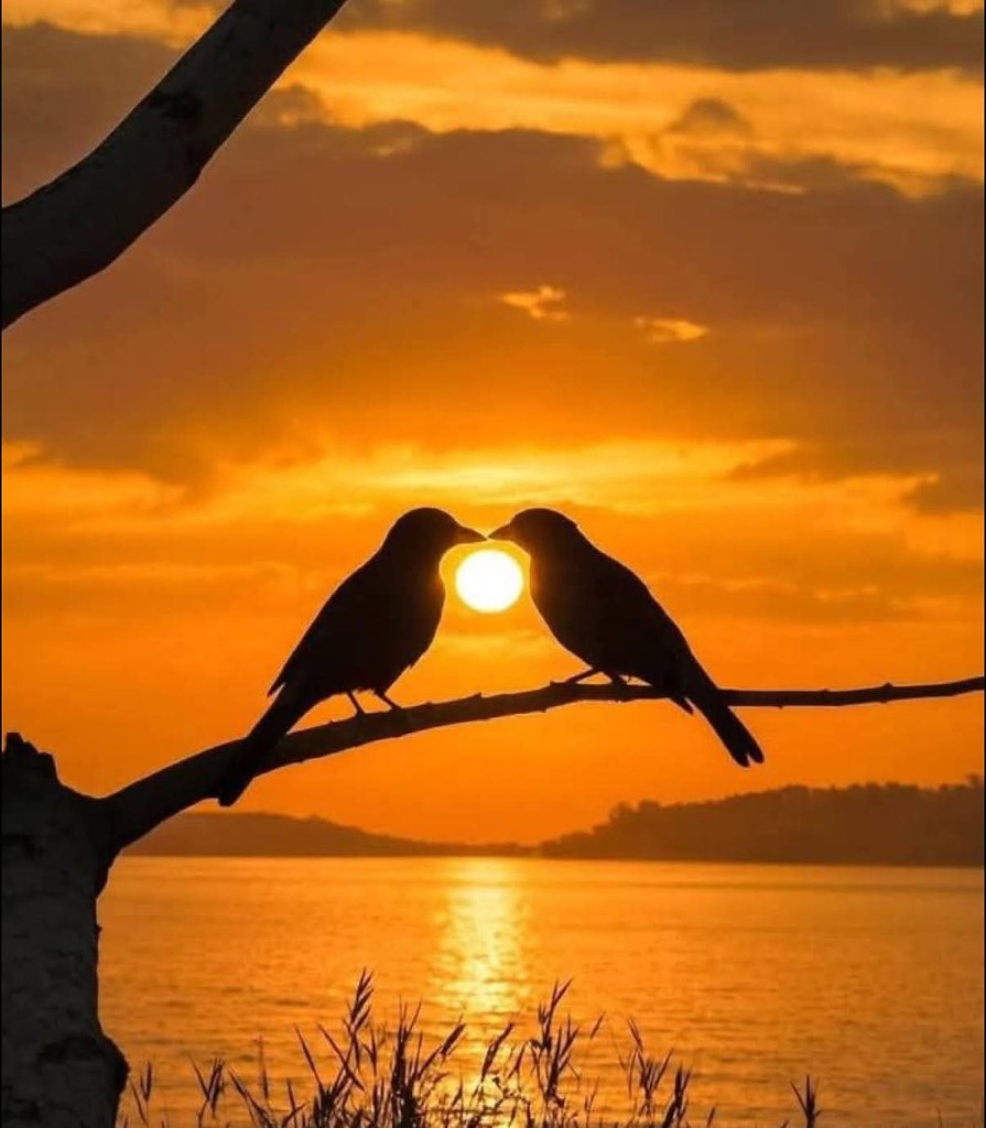 :)   : "  ,    ",     ... - 5