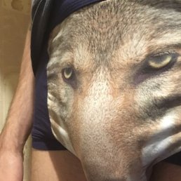 �����, ������, 28 ���