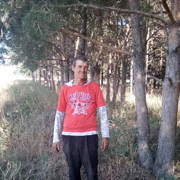 , 65 , 