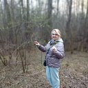 ���� ��������, �������, 55 ��� - ��������� 9 ��� 2024 � ������ ���� ����������