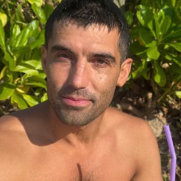 �����, 41 ���, �������