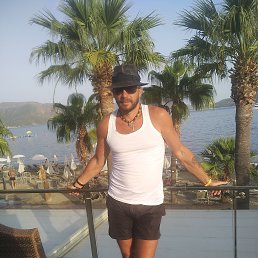 ���� Leto, ������ - ��������� 14 ����� 2026