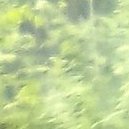 �������, ������, 39 ���