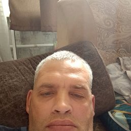  , 44 , 