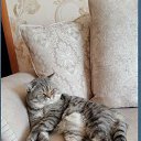 ���� ������, �����, 69 ��� - ��������� 3 ������� 2025 � ������ ������ ��������