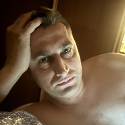 �����, 41 ���, ����������