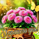 ���� ����, ����� - ��������� 15 ��� 2026 � ������ ������ ��������