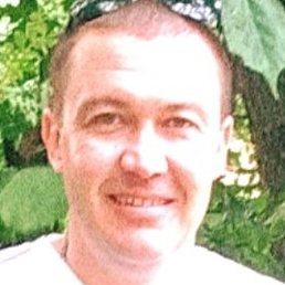 ���������, ���������, 41 ���