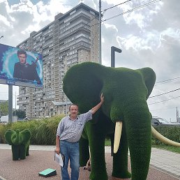 ��������, ������, 66 ���