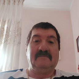 ���� ����, ������, 66 ��� - ��������� 26 ������� 2023