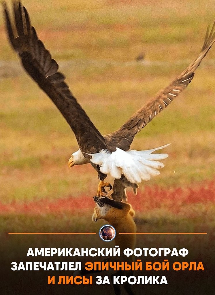 a pe���� �a�pa� ������� c�e����c� � �o����e, ���a�c� ��a���� �o���� �p�� � �p��a. �����a �o�����ac� ...