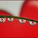 ���� Varik, ������, 50 ��� - ��������� 24 ������ 2024 � ������ ���� ����������