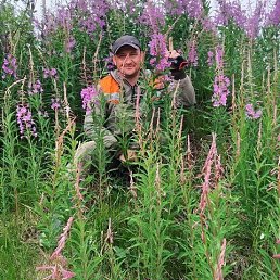 ���� ������, ����, 40 ��� - ��������� 4 ������� 2024