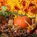 ���� ������, ������� �������� - ��������� 16 ������ 2023 � ������ ������ ��������