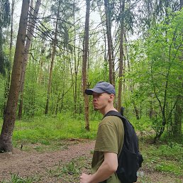 ���� �������, ������������, 28 ��� - ��������� 8 ������ 2026