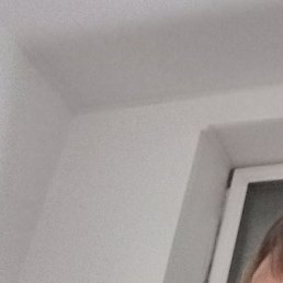 �������, ����������, 47 ���