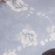 , 33 , 