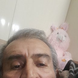 ���� �����, ������������, 63 ���� - ��������� 2 ����� 2026