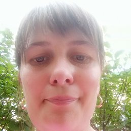 ���, 41 ���, ����