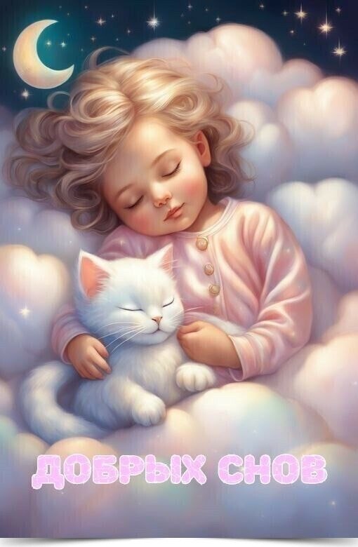 �����������������������