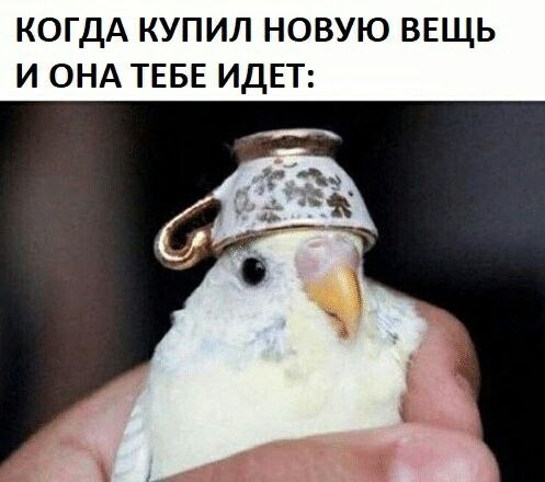    - 27  2023  16:19